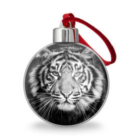 Ёлочный шар с принтом Красавец тигр в Тюмени, Пластик | Диаметр: 77 мм | джунгли | дикая кошка | животные | зверь | король | кровь | мясо | опасность | охотник | тигр | хищник | царь | цирк