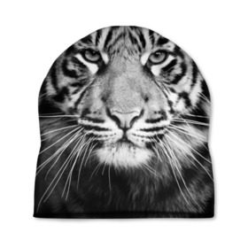 Шапка 3D с принтом Красавец тигр в Тюмени, 100% полиэстер | универсальный размер, печать по всей поверхности изделия | джунгли | дикая кошка | животные | зверь | король | кровь | мясо | опасность | охотник | тигр | хищник | царь | цирк