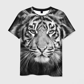 Мужская футболка 3D с принтом Красавец тигр в Тюмени, 100% полиэфир | прямой крой, круглый вырез горловины, длина до линии бедер | джунгли | дикая кошка | животные | зверь | король | кровь | мясо | опасность | охотник | тигр | хищник | царь | цирк