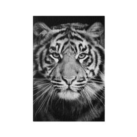 Обложка для паспорта матовая кожа с принтом Красавец тигр в Тюмени, натуральная матовая кожа | размер 19,3 х 13,7 см; прозрачные пластиковые крепления | джунгли | дикая кошка | животные | зверь | король | кровь | мясо | опасность | охотник | тигр | хищник | царь | цирк