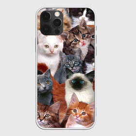 Чехол для iPhone 12 Pro Max с принтом Котики в Тюмени, Силикон |  | cat | cats | кот | котик | коты | котята