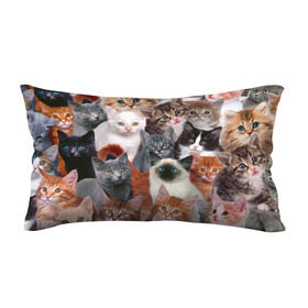Подушка 3D антистресс с принтом Котики в Тюмени, наволочка — 100% полиэстер, наполнитель — вспененный полистирол | состоит из подушки и наволочки на молнии | cat | cats | кот | котик | коты | котята