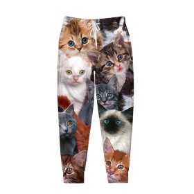 Мужские брюки 3D с принтом Котики в Тюмени, 100% полиэстер | манжеты по низу, эластичный пояс регулируется шнурком, по бокам два кармана без застежек, внутренняя часть кармана из мелкой сетки | cat | cats | кот | котик | коты | котята