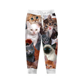Детские брюки 3D с принтом Котики в Тюмени, 100% полиэстер | манжеты по низу, эластичный пояс регулируется шнурком, по бокам два кармана без застежек, внутренняя часть кармана из мелкой сетки | cat | cats | кот | котик | коты | котята
