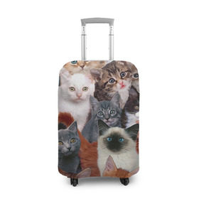 Чехол для чемодана 3D с принтом Котики в Тюмени, 86% полиэфир, 14% спандекс | двустороннее нанесение принта, прорези для ручек и колес | cat | cats | кот | котик | коты | котята