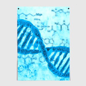 Постер с принтом ДНК в Тюмени, 100% бумага
 | бумага, плотность 150 мг. Матовая, но за счет высокого коэффициента гладкости имеет небольшой блеск и дает на свету блики, но в отличии от глянцевой бумаги не покрыта лаком | абстракция | биология | днк | молекула | синяя.цепочка | формула