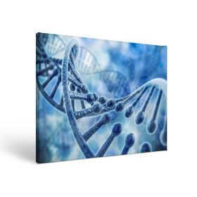 Холст прямоугольный с принтом Молекула ДНК в Тюмени, 100% ПВХ |  | dna | биохимия | внешность | ген | генетика | днк | молекула | наследственность | спираль | способности | структура | характер | черты