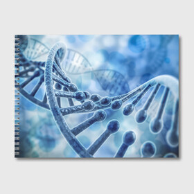 Альбом для рисования с принтом Молекула ДНК в Тюмени, 100% бумага
 | матовая бумага, плотность 200 мг. | dna | биохимия | внешность | ген | генетика | днк | молекула | наследственность | спираль | способности | структура | характер | черты