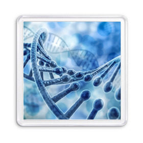 Магнит 55*55 с принтом Молекула ДНК в Тюмени, Пластик | Размер: 65*65 мм; Размер печати: 55*55 мм | Тематика изображения на принте: dna | биохимия | внешность | ген | генетика | днк | молекула | наследственность | спираль | способности | структура | характер | черты