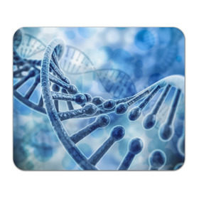 Коврик прямоугольный с принтом Молекула ДНК в Тюмени, натуральный каучук | размер 230 х 185 мм; запечатка лицевой стороны | dna | биохимия | внешность | ген | генетика | днк | молекула | наследственность | спираль | способности | структура | характер | черты