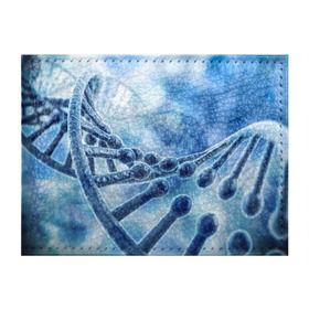 Обложка для студенческого билета с принтом Молекула ДНК в Тюмени, натуральная кожа | Размер: 11*8 см; Печать на всей внешней стороне | Тематика изображения на принте: dna | биохимия | внешность | ген | генетика | днк | молекула | наследственность | спираль | способности | структура | характер | черты