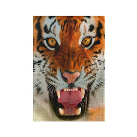 Обложка для паспорта матовая кожа с принтом Амурский тигр в Тюмени, натуральная матовая кожа | размер 19,3 х 13,7 см; прозрачные пластиковые крепления | амур | голова | животные | кошка | оскал | тигр