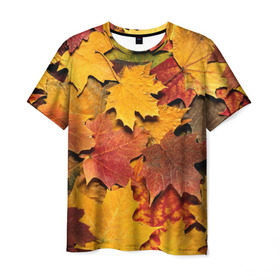 Мужская футболка 3D с принтом Осень на дворе в Тюмени, 100% полиэфир | прямой крой, круглый вырез горловины, длина до линии бедер | бордовый | жёлтый | красный | листва | листья