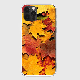 Чехол для iPhone 12 Pro с принтом Осень на дворе в Тюмени, силикон | область печати: задняя сторона чехла, без боковых панелей | бордовый | жёлтый | красный | листва | листья