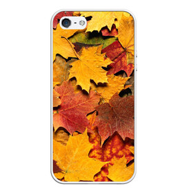 Чехол для iPhone 5/5S матовый с принтом Осень на дворе в Тюмени, Силикон | Область печати: задняя сторона чехла, без боковых панелей | бордовый | жёлтый | красный | листва | листья