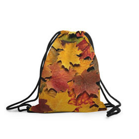 Рюкзак-мешок 3D с принтом Осень на дворе в Тюмени, 100% полиэстер | плотность ткани — 200 г/м2, размер — 35 х 45 см; лямки — толстые шнурки, застежка на шнуровке, без карманов и подкладки | бордовый | жёлтый | красный | листва | листья