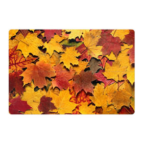 Магнитный плакат 3Х2 с принтом Осень на дворе в Тюмени, Полимерный материал с магнитным слоем | 6 деталей размером 9*9 см | бордовый | жёлтый | красный | листва | листья