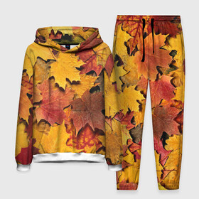 Мужской костюм 3D (с толстовкой) с принтом Осень на дворе в Тюмени,  |  | бордовый | жёлтый | красный | листва | листья