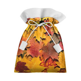 Подарочный 3D мешок с принтом Осень на дворе в Тюмени, 100% полиэстер | Размер: 29*39 см | Тематика изображения на принте: бордовый | жёлтый | красный | листва | листья