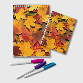Блокнот с принтом Осень на дворе в Тюмени, 100% бумага | 48 листов, плотность листов — 60 г/м2, плотность картонной обложки — 250 г/м2. Листы скреплены удобной пружинной спиралью. Цвет линий — светло-серый
 | бордовый | жёлтый | красный | листва | листья
