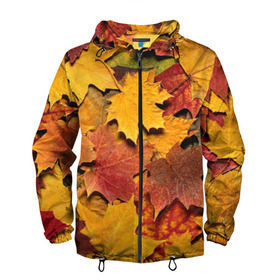 Мужская ветровка 3D с принтом Осень на дворе в Тюмени, 100% полиэстер | подол и капюшон оформлены резинкой с фиксаторами, два кармана без застежек по бокам, один потайной карман на груди | бордовый | жёлтый | красный | листва | листья