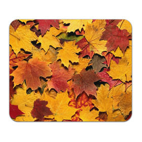 Коврик прямоугольный с принтом Осень на дворе в Тюмени, натуральный каучук | размер 230 х 185 мм; запечатка лицевой стороны | бордовый | жёлтый | красный | листва | листья