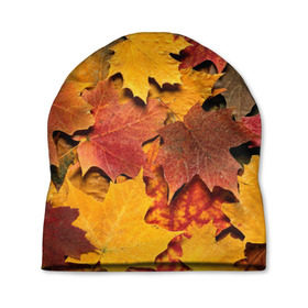 Шапка 3D с принтом Осень на дворе в Тюмени, 100% полиэстер | универсальный размер, печать по всей поверхности изделия | бордовый | жёлтый | красный | листва | листья