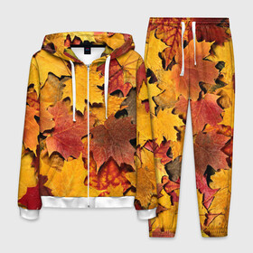 Мужской костюм 3D с принтом Осень на дворе в Тюмени, 100% полиэстер | Манжеты и пояс оформлены тканевой резинкой, двухслойный капюшон со шнурком для регулировки, карманы спереди | бордовый | жёлтый | красный | листва | листья