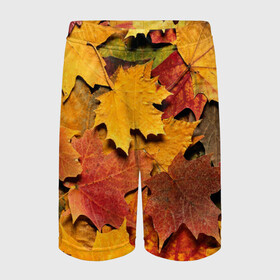 Детские спортивные шорты 3D с принтом Осень на дворе в Тюмени,  100% полиэстер
 | пояс оформлен широкой мягкой резинкой, ткань тянется
 | бордовый | жёлтый | красный | листва | листья