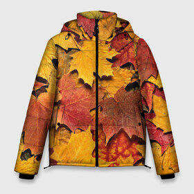 Мужская зимняя куртка 3D с принтом Осень на дворе в Тюмени, верх — 100% полиэстер; подкладка — 100% полиэстер; утеплитель — 100% полиэстер | длина ниже бедра, свободный силуэт Оверсайз. Есть воротник-стойка, отстегивающийся капюшон и ветрозащитная планка. 

Боковые карманы с листочкой на кнопках и внутренний карман на молнии. | Тематика изображения на принте: бордовый | жёлтый | красный | листва | листья