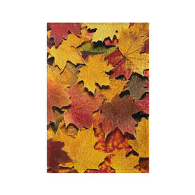 Обложка для паспорта матовая кожа с принтом Осень на дворе в Тюмени, натуральная матовая кожа | размер 19,3 х 13,7 см; прозрачные пластиковые крепления | бордовый | жёлтый | красный | листва | листья