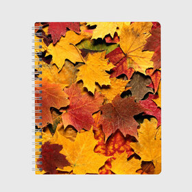 Тетрадь с принтом Осень на дворе в Тюмени, 100% бумага | 48 листов, плотность листов — 60 г/м2, плотность картонной обложки — 250 г/м2. Листы скреплены сбоку удобной пружинной спиралью. Уголки страниц и обложки скругленные. Цвет линий — светло-серый
 | бордовый | жёлтый | красный | листва | листья