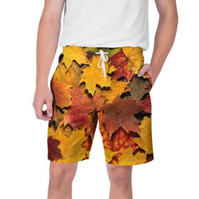Мужские шорты 3D с принтом Осень на дворе в Тюмени,  полиэстер 100% | прямой крой, два кармана без застежек по бокам. Мягкая трикотажная резинка на поясе, внутри которой широкие завязки. Длина чуть выше колен | бордовый | жёлтый | красный | листва | листья