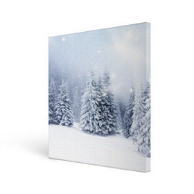 Холст квадратный с принтом Зимняя пора в Тюмени, 100% ПВХ |  | Тематика изображения на принте: вьюга | горы | зима | лес | метель | мороз | пейзаж | пурга | снег | снегопад | сосулька | стужа | сугроб | холод