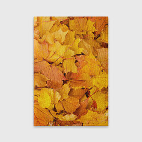 Обложка для паспорта матовая кожа с принтом Золотая листва в Тюмени, натуральная матовая кожа | размер 19,3 х 13,7 см; прозрачные пластиковые крепления | жёлтый осень | золото | листья