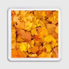 Магнит 55*55 с принтом Золотая листва в Тюмени, Пластик | Размер: 65*65 мм; Размер печати: 55*55 мм | жёлтый осень | золото | листья