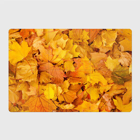 Магнитный плакат 3Х2 с принтом Золотая листва в Тюмени, Полимерный материал с магнитным слоем | 6 деталей размером 9*9 см | жёлтый осень | золото | листья