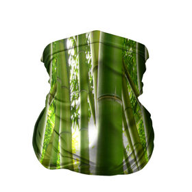 Бандана-труба 3D с принтом Бамбук в Тюмени, 100% полиэстер, ткань с особыми свойствами — Activecool | плотность 150‒180 г/м2; хорошо тянется, но сохраняет форму | Тематика изображения на принте: бамбук | зеленая | растения