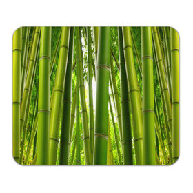 Коврик прямоугольный с принтом Бамбук в Тюмени, натуральный каучук | размер 230 х 185 мм; запечатка лицевой стороны | бамбук | зеленая | растения