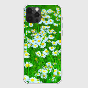 Чехол для iPhone 12 Pro Max с принтом Ромашки в Тюмени, Силикон |  | Тематика изображения на принте: поле | природа | ромашка | цветы