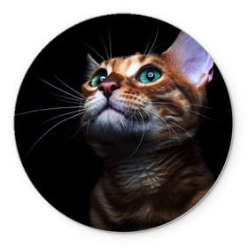 Коврик круглый с принтом Милый котик в Тюмени, резина и полиэстер | круглая форма, изображение наносится на всю лицевую часть | Тематика изображения на принте: кошка | темный | фото