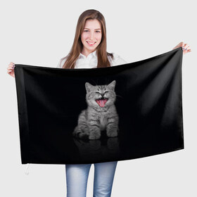 Флаг 3D с принтом Котёнок в Тюмени, 100% полиэстер | плотность ткани — 95 г/м2, размер — 67 х 109 см. Принт наносится с одной стороны | киса | киска | котёнок | котик | котяра | кошак | кошка | маленький | милый | мяу | няша | пушистый | сладкий | смешной | хороший