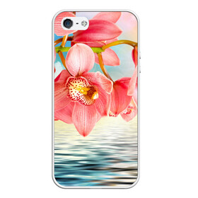 Чехол для iPhone 5/5S матовый с принтом Цветы над водой в Тюмени, Силикон | Область печати: задняя сторона чехла, без боковых панелей | букет | вода | душистый аромат | озеро | приятный запах | пруд | растение | цветок | цветы