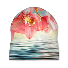Шапка 3D с принтом Цветы над водой в Тюмени, 100% полиэстер | универсальный размер, печать по всей поверхности изделия | букет | вода | душистый аромат | озеро | приятный запах | пруд | растение | цветок | цветы