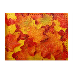 Обложка для студенческого билета с принтом Кленовые листья в Тюмени, натуральная кожа | Размер: 11*8 см; Печать на всей внешней стороне | дары осени | жёлтый | золотой | клён | краски | красный | красота | листва | листья | наряд | оранжевый | осень | покров | природа