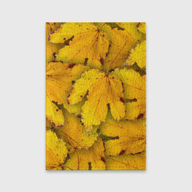 Обложка для паспорта матовая кожа с принтом Жёлтые листья в Тюмени, натуральная матовая кожа | размер 19,3 х 13,7 см; прозрачные пластиковые крепления | жёлтый | золотой | клён | красота | листва | листья | наряд | осень | осина | покров | природа