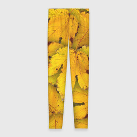 Леггинсы 3D с принтом Жёлтые листья в Тюмени, 80% полиэстер, 20% эластан | Эластичный пояс, зауженные к низу, низкая посадка | жёлтый | золотой | клён | красота | листва | листья | наряд | осень | осина | покров | природа