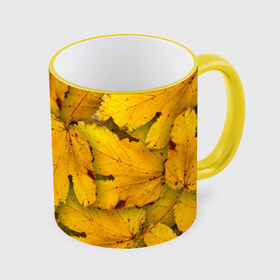 Кружка 3D с принтом Жёлтые листья в Тюмени, керамика | ёмкость 330 мл | Тематика изображения на принте: жёлтый | золотой | клён | красота | листва | листья | наряд | осень | осина | покров | природа