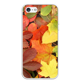 Чехол силиконовый для Телефон Apple iPhone 5/5S с принтом Осенние листья в Тюмени, Силикон | Область печати: задняя сторона чехла, без боковых панелей | Тематика изображения на принте: жёлтый | красный | листва | оранжевый | осень