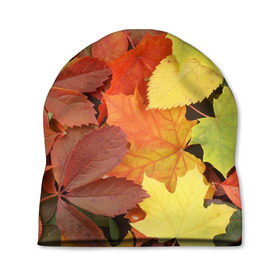 Шапка 3D с принтом Осенние листья в Тюмени, 100% полиэстер | универсальный размер, печать по всей поверхности изделия | жёлтый | красный | листва | оранжевый | осень